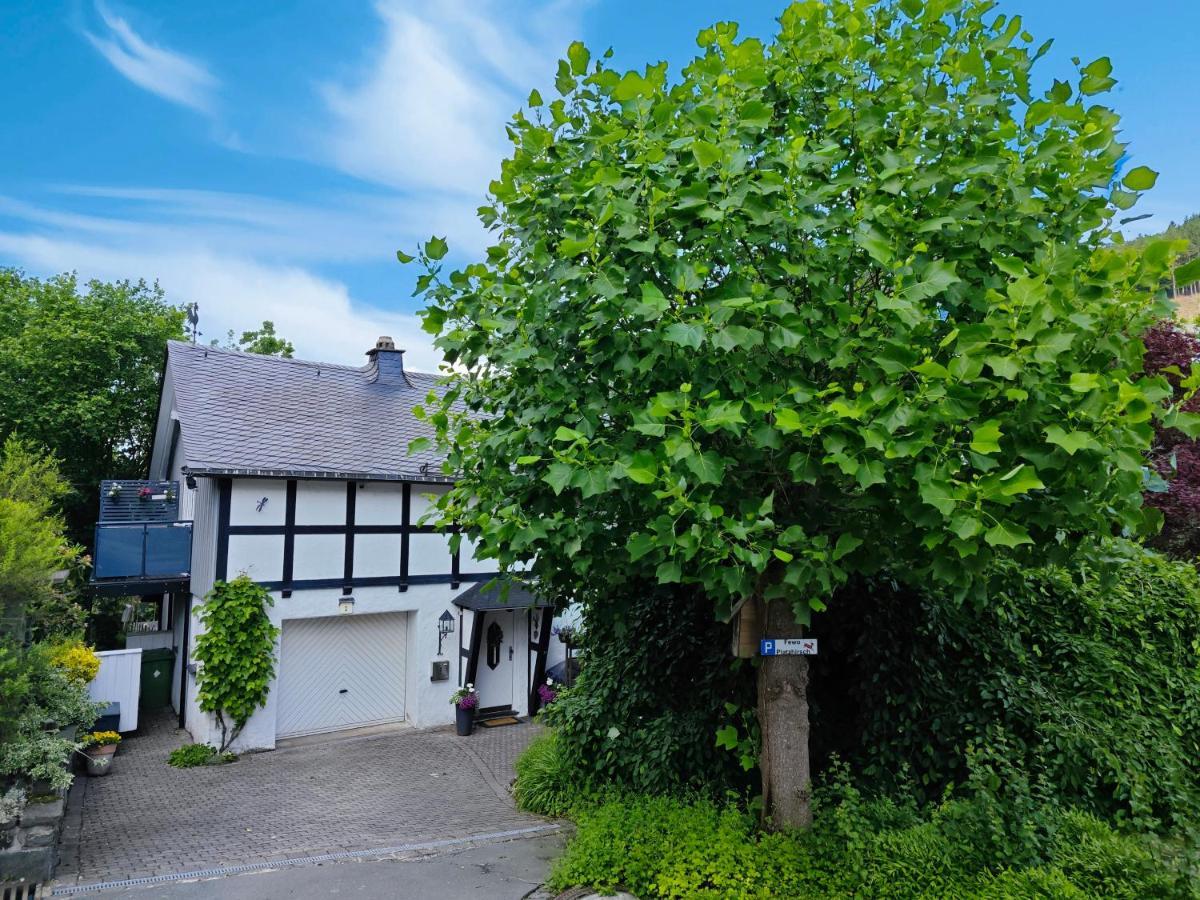 Ferienwohnung Platzhirsch Fuer 2 - 4 Pers. Winterberg Exteriör bild